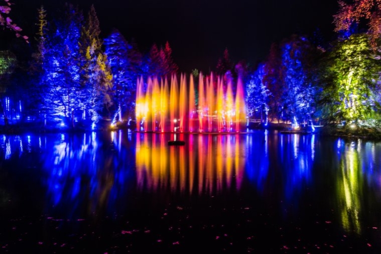 Pitlochry's Enchanted Forest